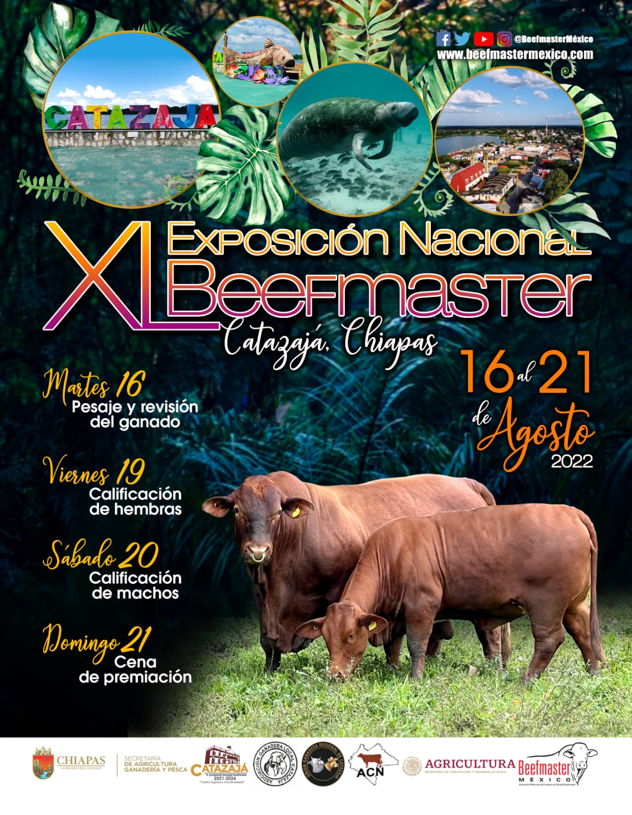 Exposición Nacional Beefmaster Catazaja Chiapas
