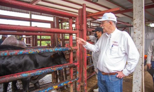 LA PRIORIDAD ES MANTENER LA UNIDAD ENTRE LA CNOG Y LAS AUTORIDADES GUBERNAMENTALES: JULIO BERDEGUE, TITUAR SADER