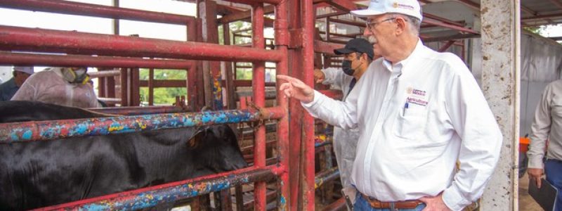 LA PRIORIDAD ES MANTENER LA UNIDAD ENTRE LA CNOG Y LAS AUTORIDADES GUBERNAMENTALES: JULIO BERDEGUE, TITUAR SADER
