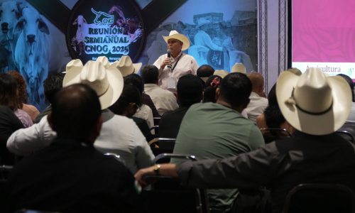 Productores pecuarios mexicanos combaten al Gusano Barrenador del Ganado: una batalla que se gana con prevención y cooperación