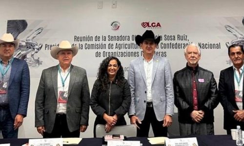 CNOG dialoga con senadores sobre sanidad, movilización ganadera e importaciones de carne