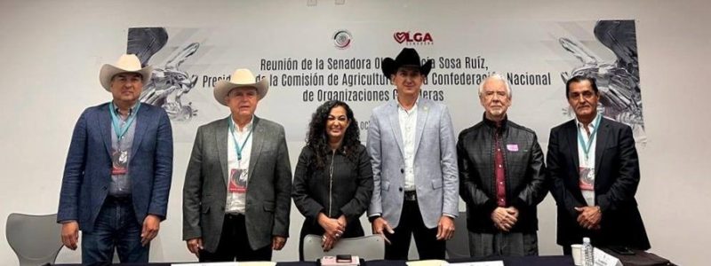 CNOG dialoga con senadores sobre sanidad, movilización ganadera e importaciones de carne