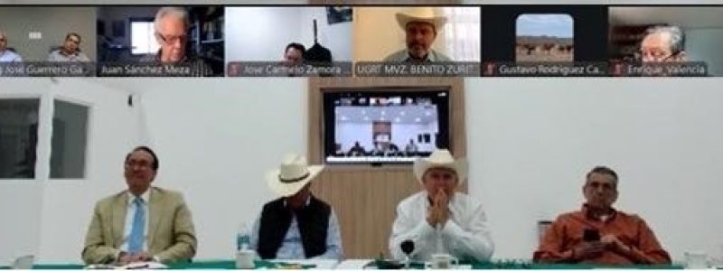 CNOG analiza la iniciativa de Reforma a la Ley de Aguas Nacionales en videoconferencia técnica